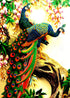 Colorful Peacock Diamond Painting